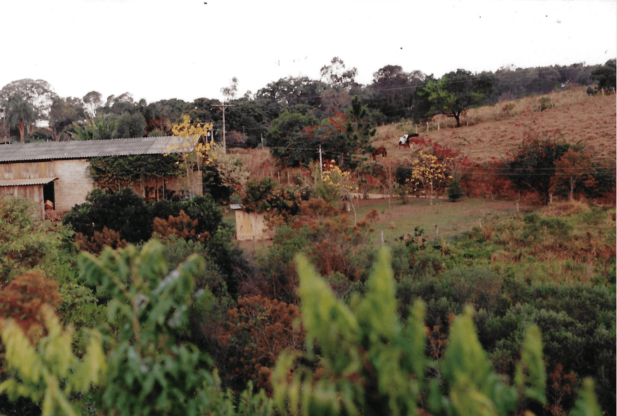 Captura de Tela 2026-02-08 às 17.00.33.png