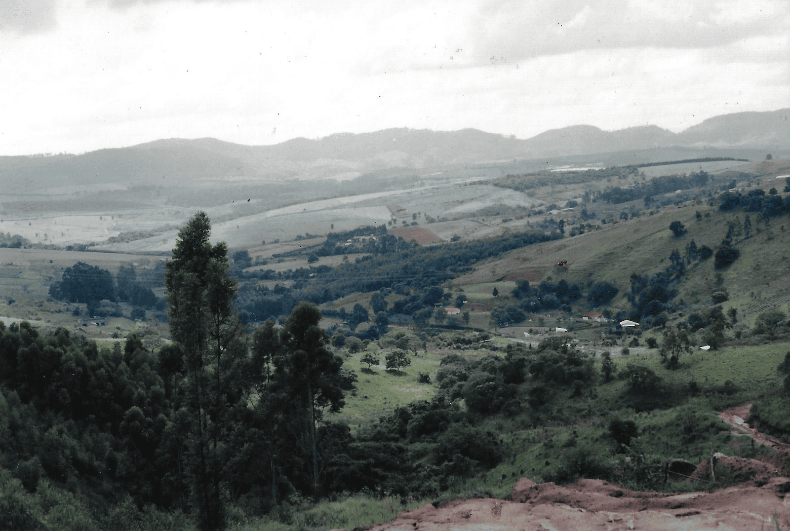 Captura de Tela 2026-02-08 às 16.52.21.png