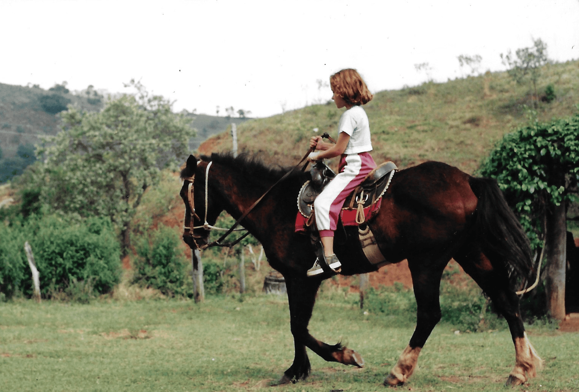 Captura de Tela 2026-02-08 às 17.01.52.png