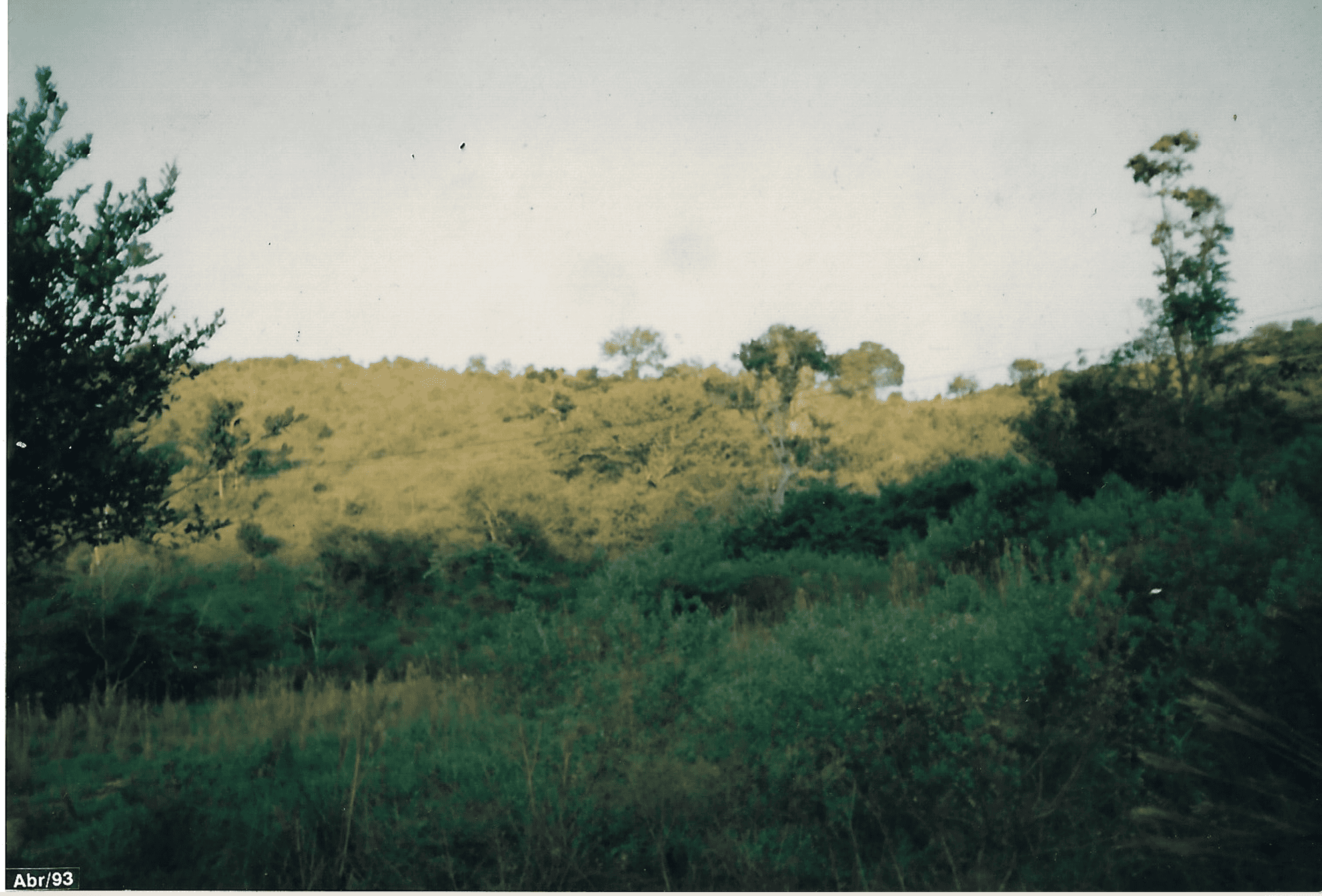 Captura de Tela 2026-02-08 às 17.05.31.png